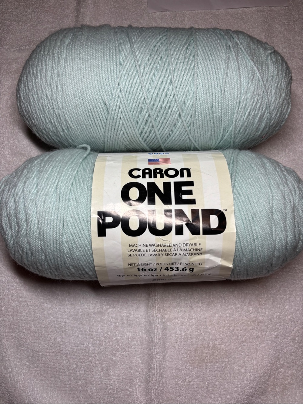 Caron - One Pound Yarn in Pale Green - 2 Skeins. 100% Acrylic.  Approx 812 Yd Ea